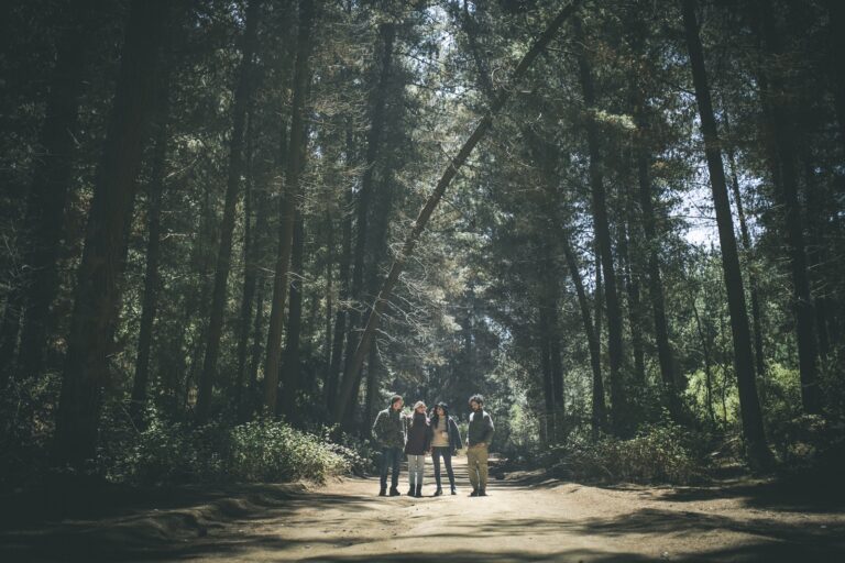 Trekking y Trail en invierno: Qué ropa usar