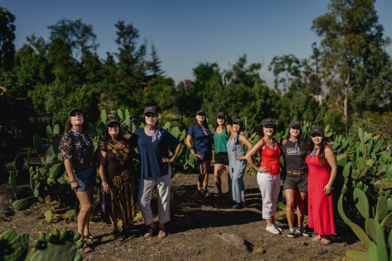 Enfocándote en la ‘S’ de ESG: Clave para el Éxito Sostenible