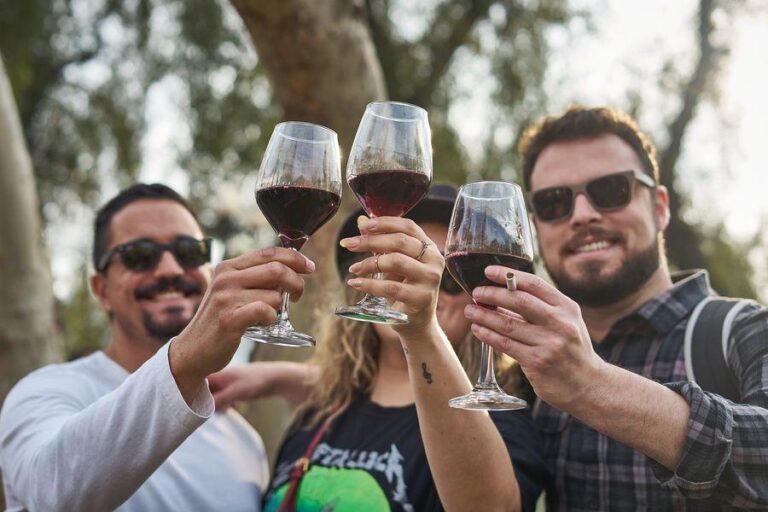 Los días sábado 07 y domingo 08 de septiembre: Celebración del Día del Vino reunirá en Providencia más de 50 stands de viñas de todo Chile
