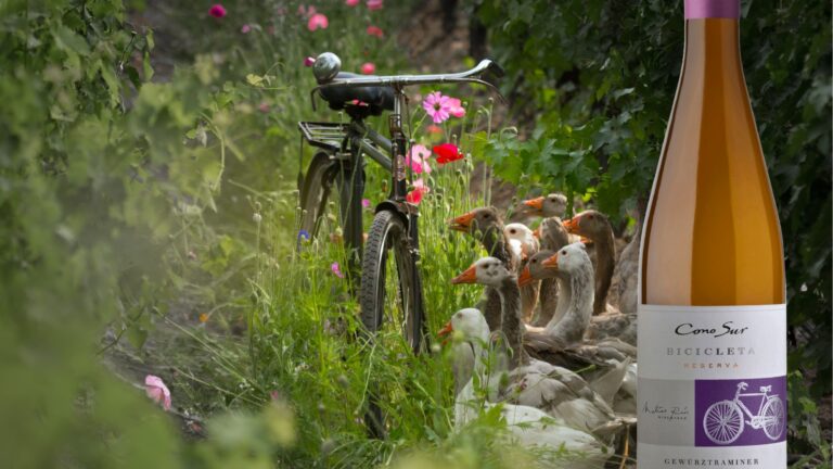 3 cepas de vinos blancos aromáticos que tienes que conocer para este verano