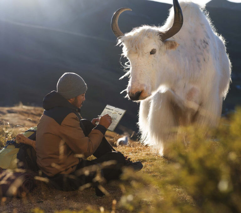 MatePad Pro 13.2: El secreto para unas travesías inolvidables en Semana Santa