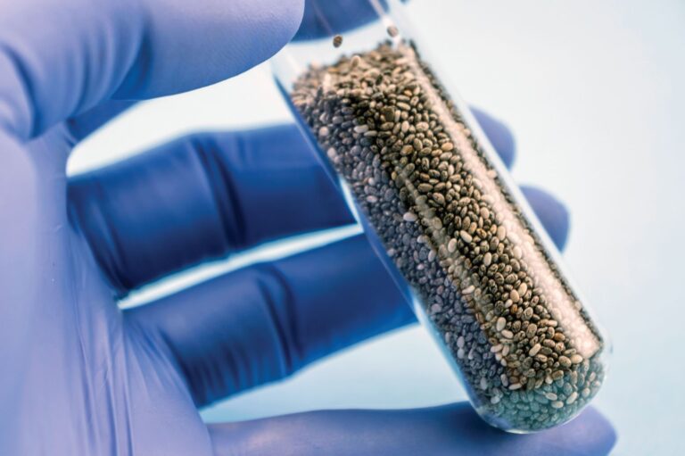 Chía y control del colesterol: un aliado natural en tiempos de exigencia cardíaca