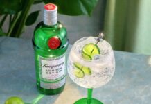 El mes del Gin & Tonic llega con experiencias únicas en todo Chile