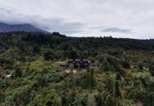Ampe Lodge: desconexión boutique frente a los volcanes del sur