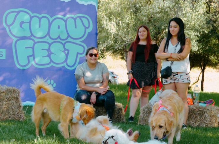 Avísale a tu perro: Vuelve GuauFest, el primer parque de diversiones 100% pensado para ellos
